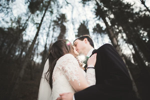 Bruidspaar poseren in de buurt van dennenbos. Jonggehuwden verliefd — Stockfoto