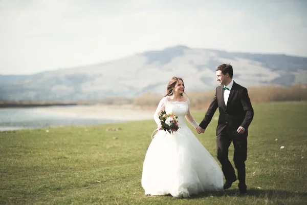 Beautiful wedding couple, bride, groom posing and walking in field against the background of high mountains — Stock Photo, Image