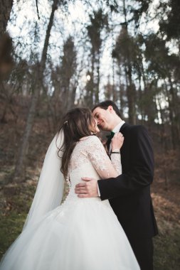 Evlilik çift çam ormanı poz. Yeni evliler aşık