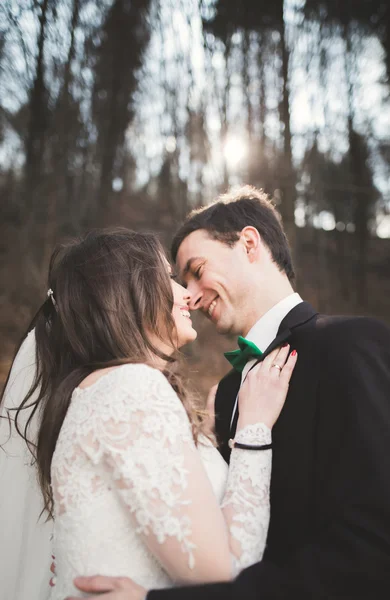 結婚式のカップルは、松の森の近くのポーズします。愛の新婚夫婦 — ストック写真