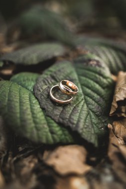 lüks alyans yaprakları ve çim üzerinde yalan