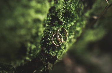 lüks alyans yaprakları ve çim üzerinde yalan