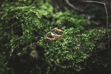 lüks alyans yaprakları ve çim üzerinde yalan