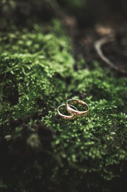 lüks alyans yaprakları ve çim üzerinde yalan