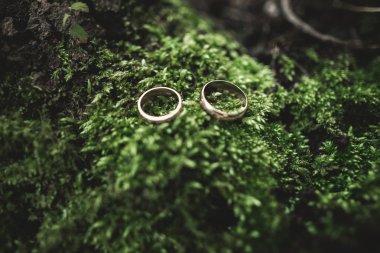 lüks alyans yaprakları ve çim üzerinde yalan