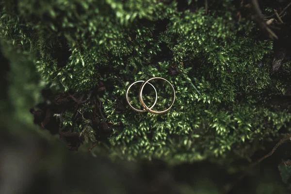 Anéis de casamento de luxo deitado nas folhas e grama — Fotografia de Stock