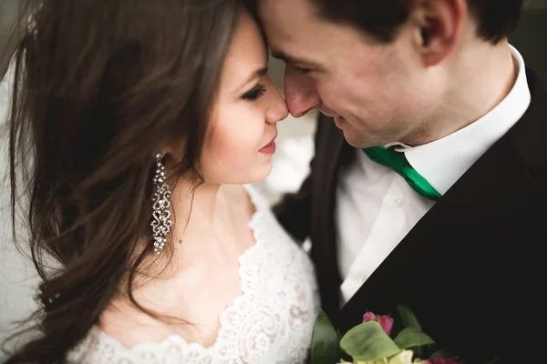 Felice coppia di nozze, sposa e sposo posa fiume pulito sullo sfondo delle montagne — Foto Stock