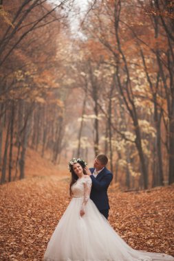 Mutlu evlilik çift, gelin ve damat sonbahar ormanda yürüyüş parkı