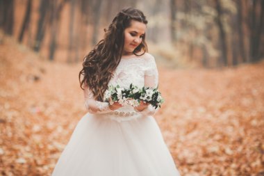 Park ve orman sonbaharda poz güzel gelin