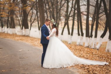 Mutlu evlilik çift, gelin ve damat sonbahar ormanda yürüyüş parkı