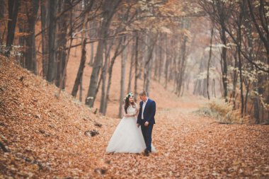 Mutlu evlilik çift, gelin ve damat sonbahar ormanda yürüyüş parkı