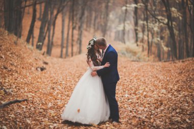 Mutlu evlilik çift, gelin ve damat sonbahar ormanda yürüyüş parkı