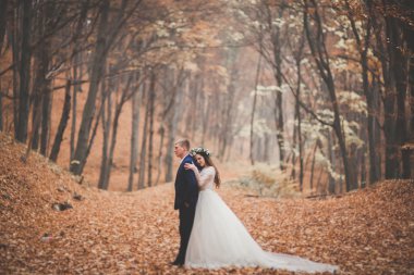 Mutlu evlilik çift, gelin ve damat sonbahar ormanda yürüyüş parkı