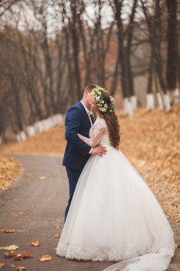 Mutlu evlilik çift, gelin ve damat sonbahar ormanda yürüyüş parkı