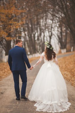 Mutlu evlilik çift, gelin ve damat sonbahar ormanda yürüyüş parkı