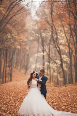 Mutlu evlilik çift, gelin ve damat sonbahar ormanda yürüyüş parkı