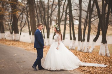 Mutlu evlilik çift, gelin ve damat sonbahar ormanda yürüyüş parkı