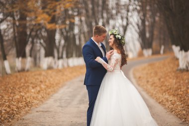 Mutlu evlilik çift, gelin ve damat sonbahar ormanda yürüyüş parkı