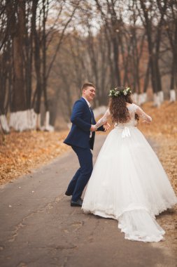 Mutlu evlilik çift, gelin ve damat sonbahar ormanda yürüyüş parkı