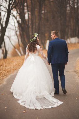 Mutlu evlilik çift, gelin ve damat sonbahar ormanda yürüyüş parkı