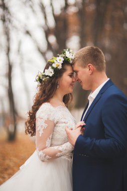 Mutlu evlilik çift, gelin ve damat sonbahar ormanda yürüyüş parkı