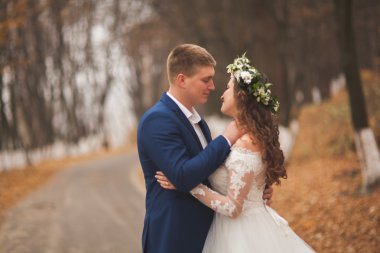 Mutlu evlilik çift, gelin ve damat sonbahar ormanda yürüyüş parkı