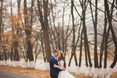 Mutlu evlilik çift, gelin ve damat sonbahar ormanda yürüyüş parkı