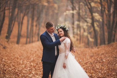 Mutlu evlilik çift, gelin ve damat sonbahar ormanda yürüyüş parkı