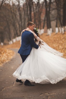 Mutlu evlilik çift, gelin ve damat sonbahar ormanda yürüyüş parkı