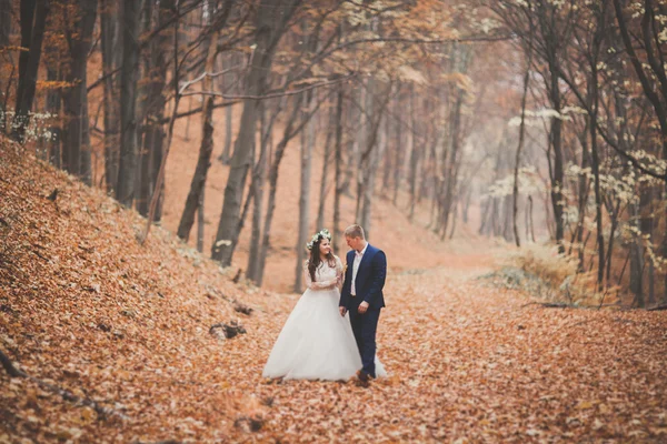 Boldog pár esküvő, a menyasszony és a vőlegény, séta az őszi erdő, park — Stock Fotó