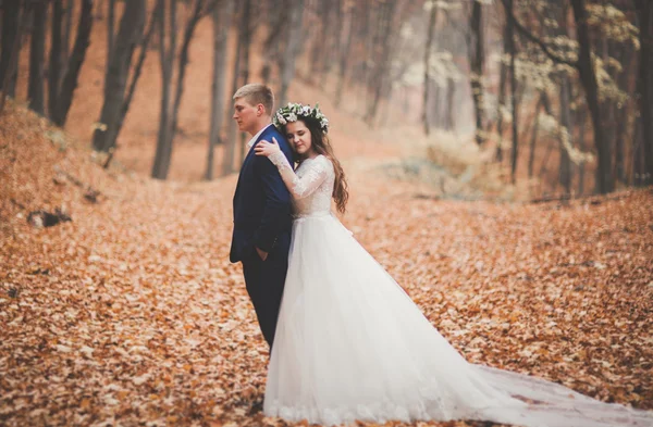 Mutlu evlilik çift, gelin ve damat sonbahar ormanda yürüyüş parkı — Stok fotoğraf