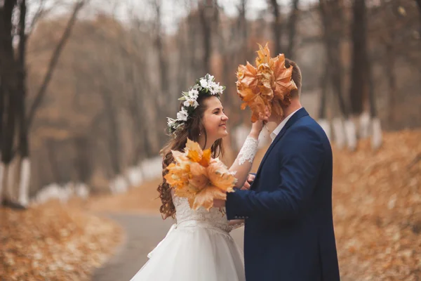 Щаслива весільна пара, наречена і наречений ходять в осінньому лісі, парк — стокове фото