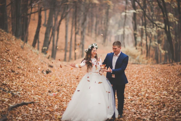 Gelukkig bruidspaar, bruid en bruidegom lopen in de herfst bos, park — Stockfoto