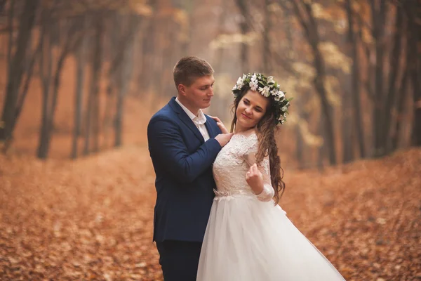 Mutlu evlilik çift, gelin ve damat sonbahar ormanda yürüyüş parkı — Stok fotoğraf
