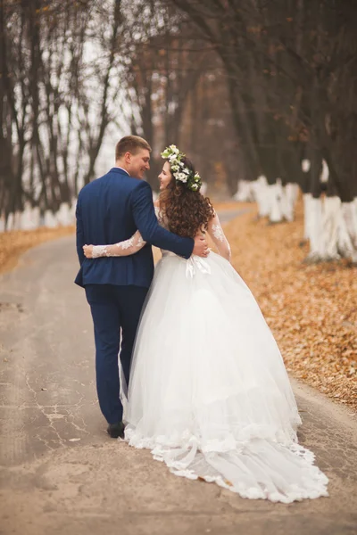 Boda feliz pareja, novia y novio caminando en el bosque de otoño, parque — Foto de Stock