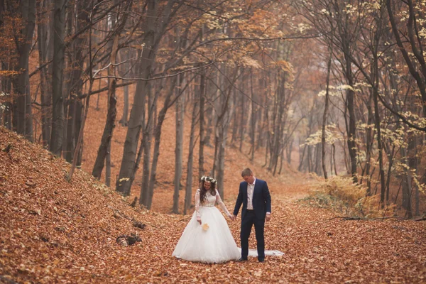 Buon matrimonio coppia, sposa e sposo a piedi nella foresta autunnale, parco — Foto Stock