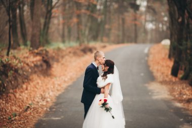 Mutlu evlilik çift, gelin ve damat park sonbaharda poz