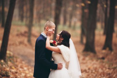 Mutlu evlilik çift, gelin ve damat park sonbaharda poz