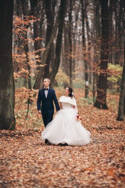 Mutlu evlilik çift, gelin ve damat park sonbaharda poz