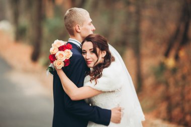 Mutlu evlilik çift, gelin ve damat park sonbaharda poz