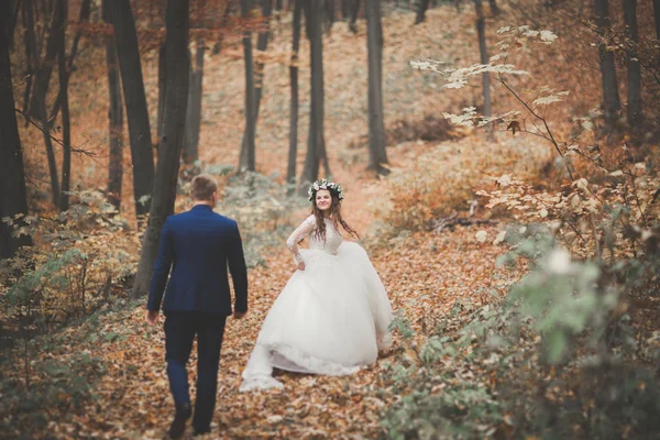 Mutlu evlilik çift, gelin ve damat sonbahar ormanda yürüyüş parkı — Stok fotoğraf