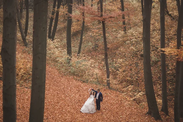 Boda feliz pareja, novia y novio caminando en el bosque de otoño, parque —  Fotos de Stock