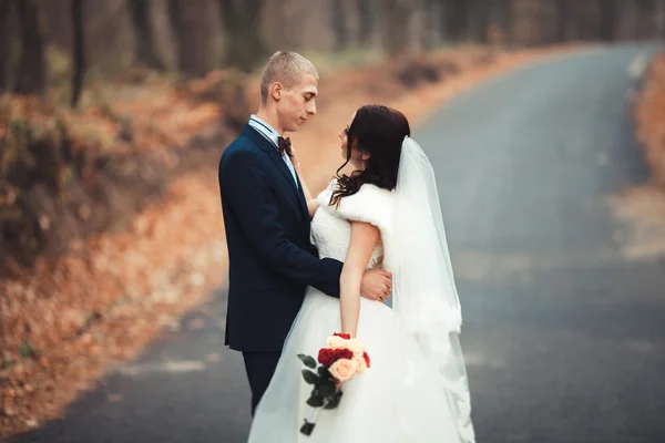 Happy wedding couple, bride and groom posing in park autumn — Stock Photo, Image