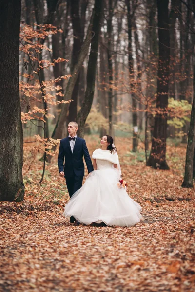 Mutlu evlilik çift, gelin ve damat park sonbaharda poz