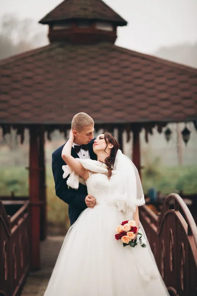 Joyeux couple de mariage, mariée et marié posant dans le parc automne — Photo