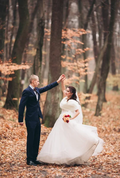 Ζευγάρι ευτυχισμένος γάμος, νύφη και ο γαμπρός που θέτουν σε πάρκο φθινόπωρο — Φωτογραφία Αρχείου