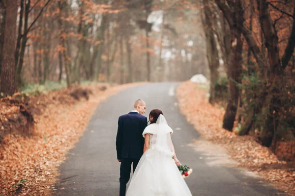 शुभेच्छा लग्न जोडप्या, वधू आणि ग्रोम पार्क शरद ऋतू मध्ये पोझिंग — स्टॉक फोटो, इमेज