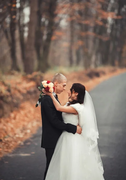 Felice coppia di nozze, sposa e sposo in posa nel parco autunno — Foto Stock