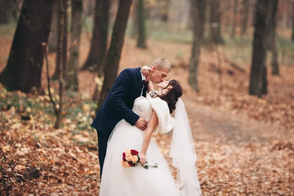 Joyeux couple de mariage, mariée et marié posant dans le parc automne — Photo