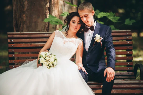 Glückliches Hochzeitspaar, Braut und Bräutigam posieren im Park — Stockfoto